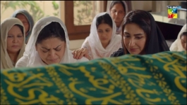 Hasrat - Episode 36 - 29th Jul 2022